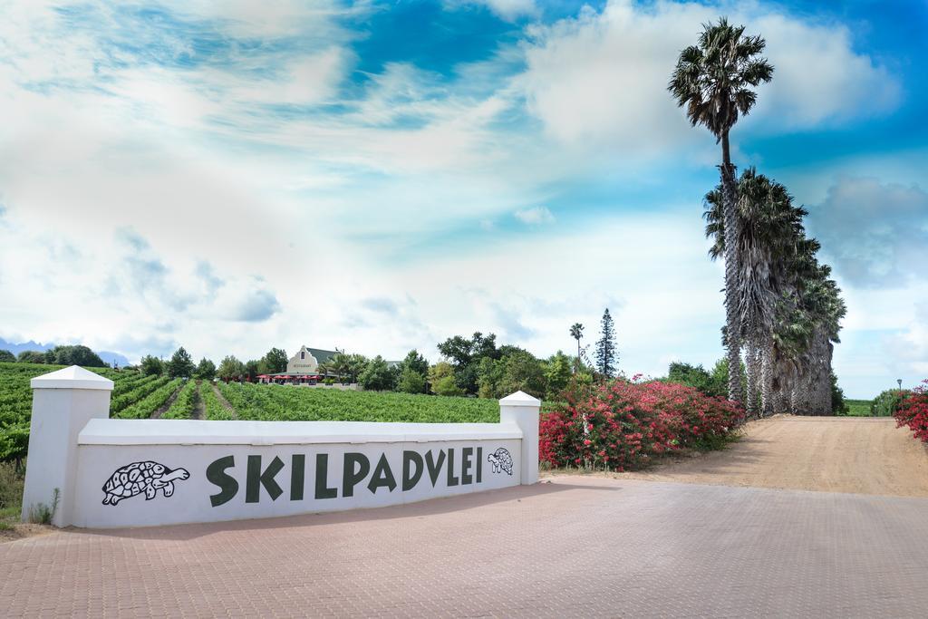Skilpadvlei Wine Farm Stellenbosch Exterior foto